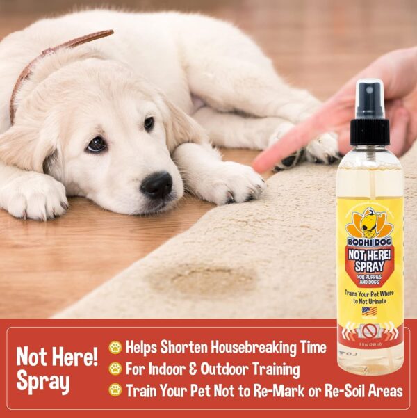 Bodhi Dog Not Here! Spray | Trains Your Pet Where Not to Urinate | Training Corrector for Puppies & Dogs | for Indoor & Outdoor Use | No More Marking | Made in The USA (8 Ounce) - Image 4