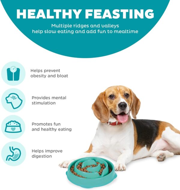 Outward Hound Fun Feeder Slo Bowl, Slow Feeder Dog Bowl, Medium/Mini, Turquoise - Image 4