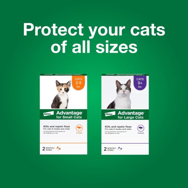 Advantage Topical Cat Flea Treatment and Prevention for Small Cats 2-9 lbs. | 2 Month Supply - Image 9