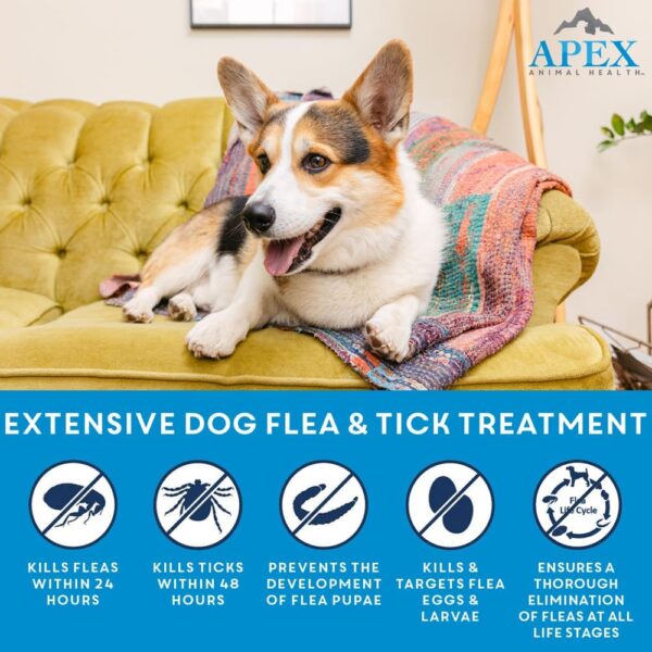 Apex Plus Flea and Tick Prevention for Dogs | Medium (23-44 lbs) | 3-Month Supply | Dog Flea and Tick Treatment | 24-Hour Activation, Waterproof, 30-Day Protection - Image 2