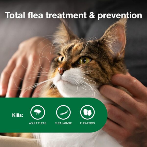 Advantage II Large Cat Vet-Recommended Flea Treatment & Prevention | Cats Over 9 lbs. | 2-Month Supply - Image 3