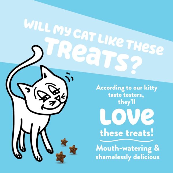 Shameless Pets Digestive Health Catnip Chicken Crunchy Cat Treats - Image 2