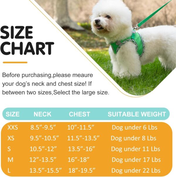 Dog Harness and Leash Set, No Pull Pet Harness for Small Dogs Easy Walking,Soft Breathable Small Dog Harness,Adjustable Reflective Step in Vest Harness for Puppy,Kitten, Cats - Image 6