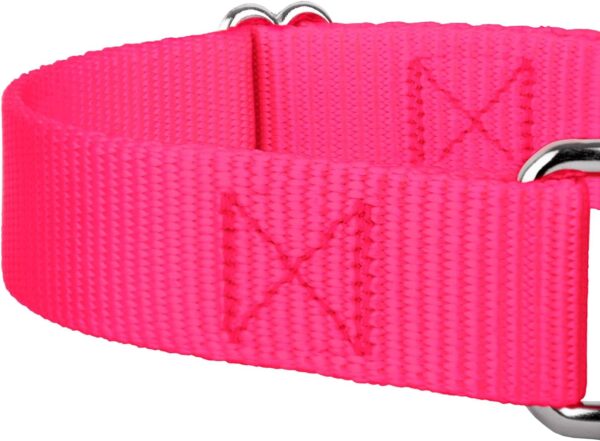 Country Brook Petz Martingale Dog Collar - Heavy-Duty Training Collar with No Buckle - Service Dog Collar for All Pups - Vibrant, Colorful Collection - Medium, Hot Pink - Image 8