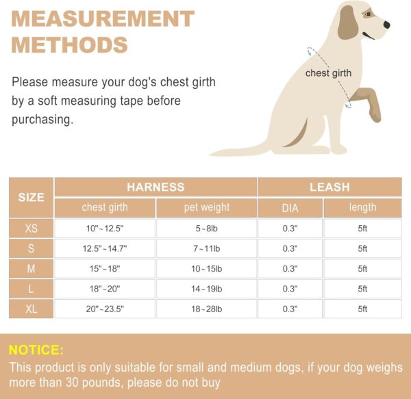 Dog Harness with Leash Set, No Pull Adjustable Reflective Step-in Puppy Harness with Thickened Padded Vest for Extra-Small/Small Medium Dogs - Image 7