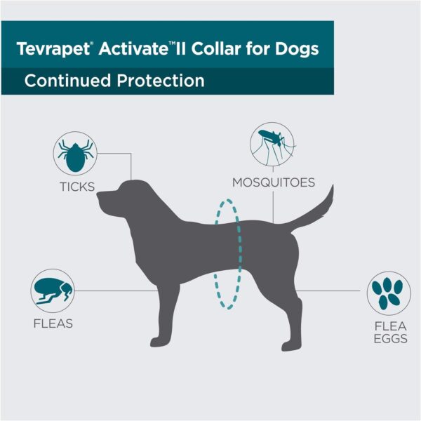 TevraPet Activate II Flea and Tick Collar for Dogs, 12 Months Prevention, 2 Count, One Size Fits All - Image 4