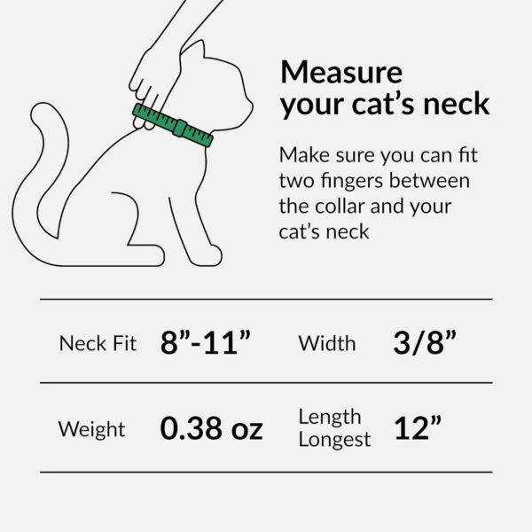 CollarDirect Leather Cat Collar with Bell - Kitten Collar, Small and Big Cat Collar for Boy Cats, Girl Cats with Safety Elastic Strap (Neck Fit 8"-11", Mint Green) - Image 2