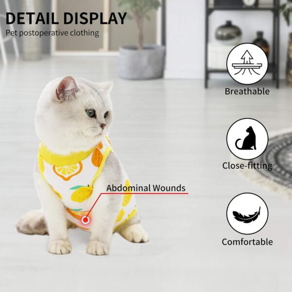 Cat Professional Surgical Recovery Suit,E-Collar Alternative for Cats Dogs,After Surgery Wear, Pajama Suit,Home Indoor Pets Clothing (M (6-8 1bs), Lemon) - Image 3