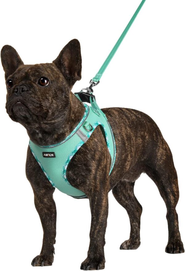 AMTOR Small Dog Harness with Leash Set, No Escape Easy Walk Puppy Harnesses for Training Walking, Step-in Reflective Soft Dogs Vest for XS S Medium Extra-Small Large Sized Dog(Green,S)