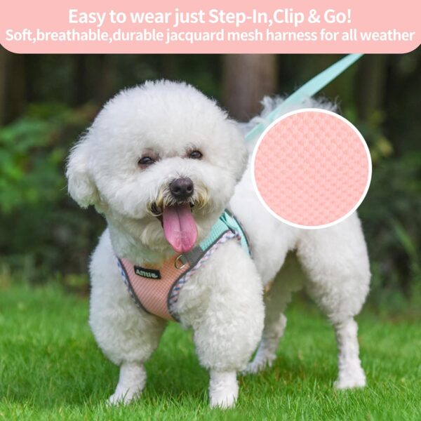 AIITLE Dog Harness and Leash Set,No Pull Step in Puppy Harness with Super Breathable Mesh, Reflective Adjustable Pet Harness for Outdoor Walking, Training for Small Dogs, Cats Turquoise-Pink XS - Image 5