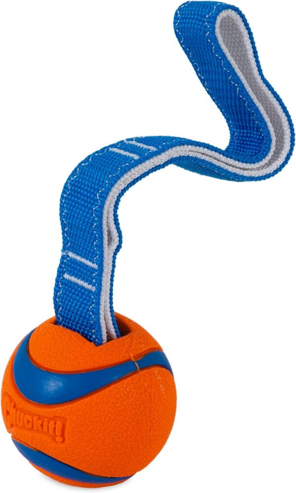 Chuckit Ultra Tug Dog Toy, Medium Fetch and Dog Ball Tug Toy for Dogs 20-60 Pounds - Image 2