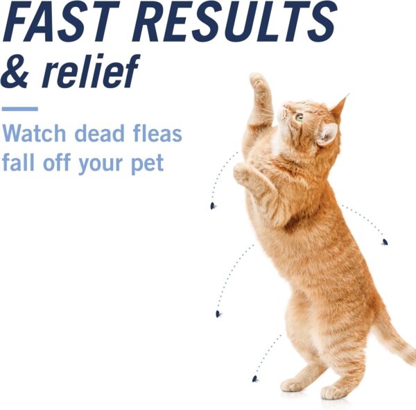 PetArmor CAPACTION (nitenpyram) Oral Flea Treatment for Cats, Fast Acting Tablets Start Killing Fleas in 30 Minutes, Cats 2-25 lbs, 6 Doses - Image 4