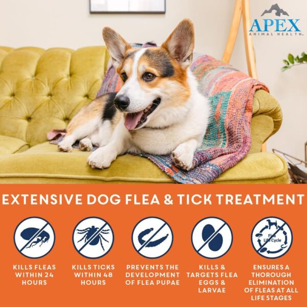 Apex Plus Flea and Tick Prevention for Dogs | Small (5-22 lbs) | 3-Month Supply | Dog Flea and Tick Treatment | 24-Hour Activation, Waterproof, 30-Day Protection - Image 2