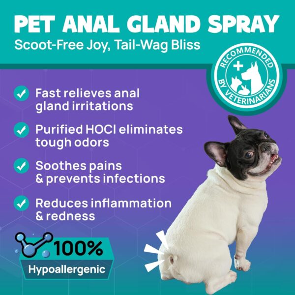 HICC PET Dog Anal Gland Spray - Fast Relieves Anal Gland Irritations and Soothes Itching, Stops Scooting, Eliminates Tough Odors, Pain Relieving & Anti-Itch, Safe for All Animals - 4 Fl Oz - Image 3