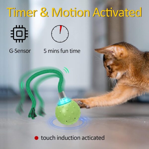 Interactive Cat Ball Toy,Motion Activated Automatic Moving Ball Toy with Long Tail Teaser/Simulation Bird Sound/USB Rechargeable Cat Toys Self Play - Image 3