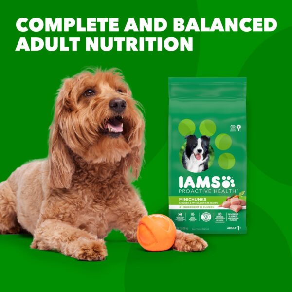 IAMS Adult Minichunks Small Kibble High Protein Dry Dog Food with Real Chicken, 7 lb. Bag - Image 11