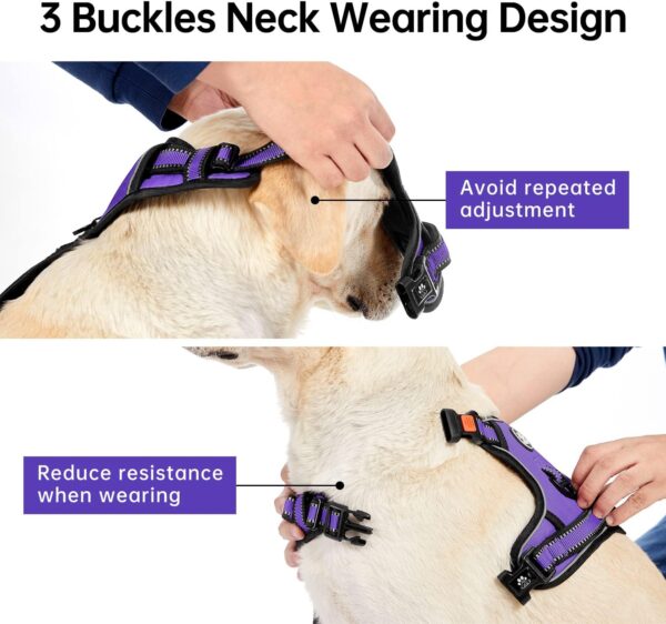 IVY&LANE No Pull Dog Harness for Small Dogs, Dog Vest Harness with Leash, Safety Belt and Storage Strap, Fully Adjustable Harness, 360° Reflective Strip, Soft Handle (Purple, S) - Image 4