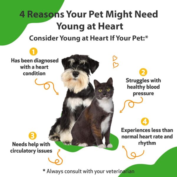 Pet Wellbeing Young at Heart for Dogs & Cats - Vet-Formulated - Supports Cardiovascular (Heart & Circulatory) Health - Natural Herbal Supplement 4 oz (118 ml) - Image 2