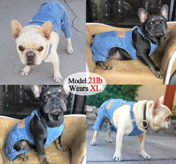 Dog Shirts Clothes Denim Overalls, Pet Jeans Onesies Apparel, Puppy Jean Jacket Sling Jumpsuit Costumes, Fashion Comfortable Blue Pants Clothing for Small Medium Dogs Cats Boy Girl (Blue, Large) - Image 6