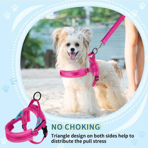 SlowTon No Pull Small Dog Harness and Leash Set, Puppy Soft Vest Harness Neck & Chest Adjustable, Reflective Lightweight Harness & Anti-Twist Pet Lead Combo for Small Medium Dogs (Fuchsia, XXS) - Image 2