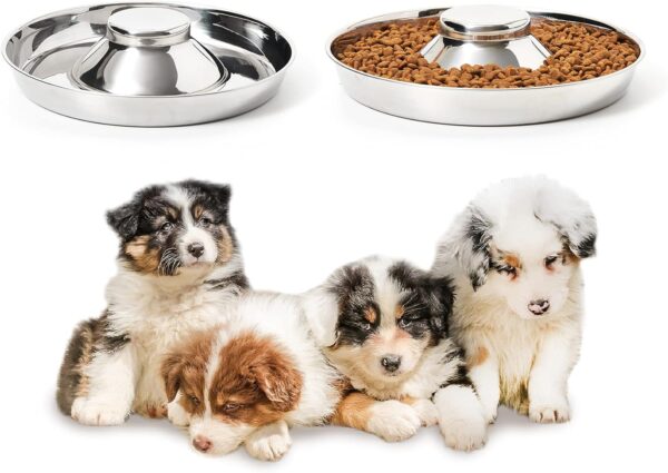 Stainless Steel Puppy Bowls, Set of 2 Puppy Feeder, Dog Food and Water Bowl, Food Feeding Weaning for Small Medium Large Dogs, Pets, M