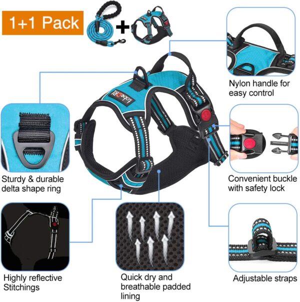 tobeDRI No Pull Dog Harness Adjustable Reflective Oxford Easy Control Medium Large Dog Harness with A Free Heavy Duty 5ft Dog Leash (L (Neck: 18"-25.5", Chest: 24.5"-33"), Blue Harness+Leash) - Image 3