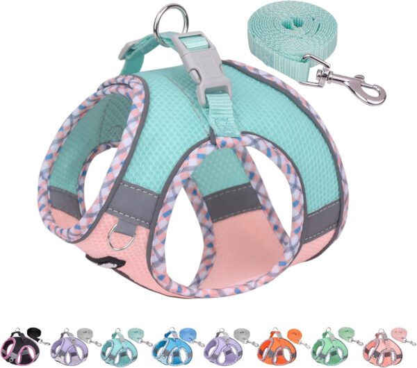 AIITLE Dog Harness and Leash Set,No Pull Step in Puppy Harness with Super Breathable Mesh, Reflective Adjustable Pet Harness for Outdoor Walking, Training for Small Dogs, Cats Turquoise-Pink XS