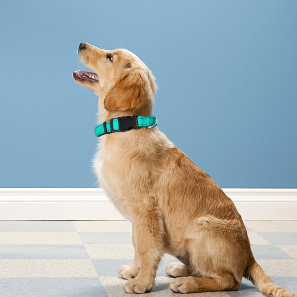 Reflective Dog Collar, Adjustable Soft Neoprene Padded Nylon Pet Collars with Buckle for Small Dogs, Teal,S - Image 2