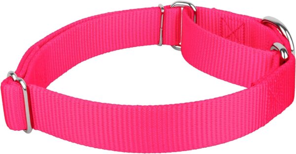 Country Brook Petz Martingale Dog Collar - Heavy-Duty Training Collar with No Buckle - Service Dog Collar for All Pups - Vibrant, Colorful Collection - Medium, Hot Pink - Image 7