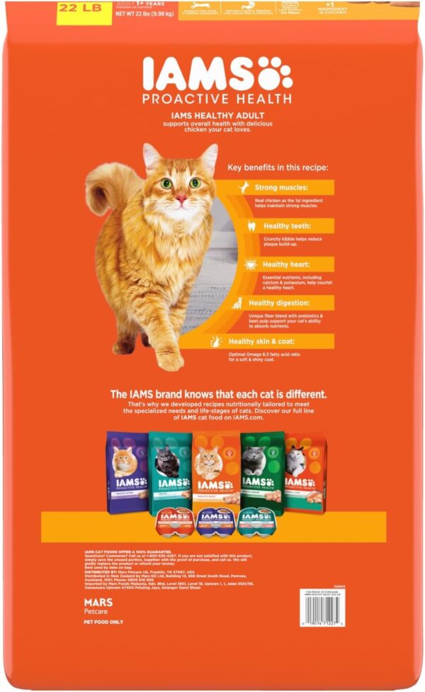 IAMS PROACTIVE HEALTH Adult Healthy Dry Cat Food with Chicken Cat Kibble, 22 lb. Bag - Image 2