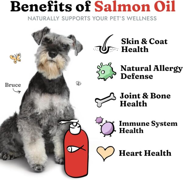 Salmon Oil for Dogs & Cats - Healthy Skin & Coat, Fish Oil, Omega 3 EPA DHA, Liquid Food Supplement for Pets, All Natural, Supports Joint & Bone Health, Natural Allergy & Inflammation Defense, 32 oz - Image 2