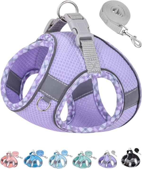 Petank Dog Harness for Small Medium Dogs No Pull, Puppy Harness and Leash Set, Easy Walk Dog Harness for Walking, Running, Training, Small Dog Harness, Medium Dog Harness (Purple, XXS)