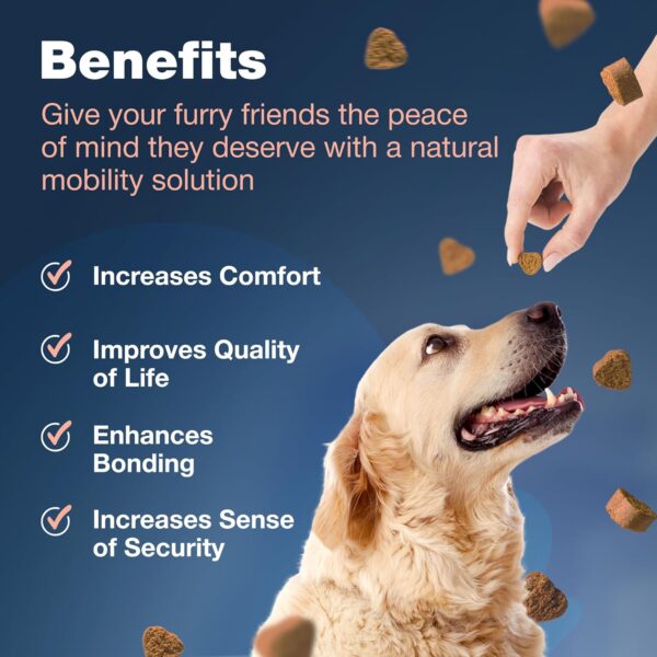 Glucosamine for Dogs - Hip and Joint Supplement Dogs - Glucosamine Chondroitin Dog Chews with MSM - Dog Hip and Joint Supplement - Hemp Hip and Joint Chews for Dogs - Mobility, Skin & Coat Health - Image 7