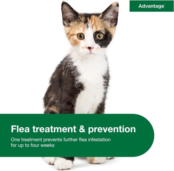 Advantage Topical Cat Flea Treatment and Prevention for Small Cats 2-9 lbs. | 2 Month Supply - Image 5