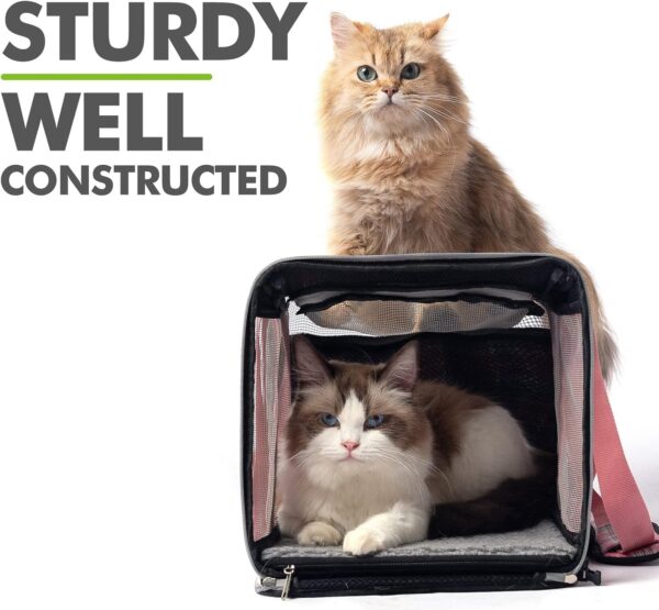 EXPAWLORER Cat Carrier Large, Soft-Sided Pet Carrier for Cat,Top Load Cat Travel Carriers for Medium Cats Under 25, Airline Approved Pet Bag Carriers Fit 2 Kitties Small Dogs - Image 5