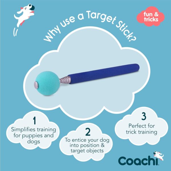 Company of Animals Coachi Target Stick, Telescopic Design with Large Ball for Target, Dog Accessory for Clicker & Agility Training, Teach Commands and Tricks - Image 2