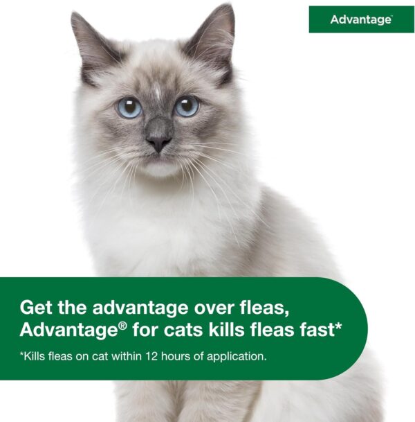 Advantage Topical Cat Flea Treatment and Prevention for Small Cats 2-9 lbs. | 2 Month Supply - Image 10