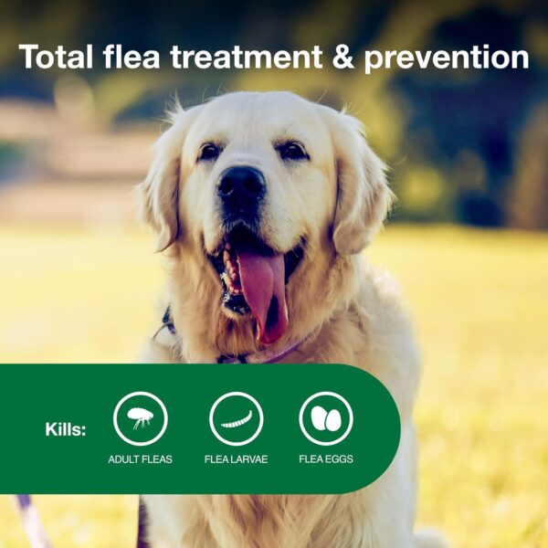 Advantage II Large Dog Vet-Recommended Flea Treatment & Prevention | Dogs 21-55 lbs. | 4-Month Supply - Image 4