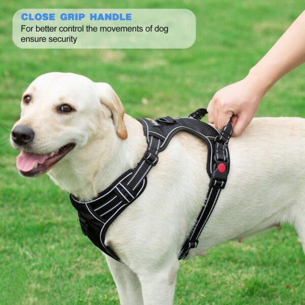 tobeDRI No Pull Dog Harness Adjustable Reflective Oxford Easy Control Medium Large Dog Harness with A Free Heavy Duty 5ft Dog Leash (L (Neck: 18"-25.5", Chest: 24.5"-33"), Blue Harness+Leash) - Image 5