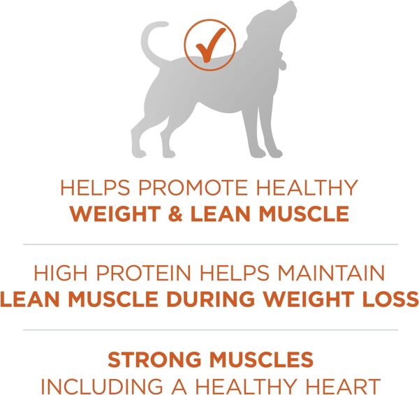 Purina ONE Plus Healthy Weight High-Protein Dog Food Dry Formula - 8 lb. Bag - Image 5