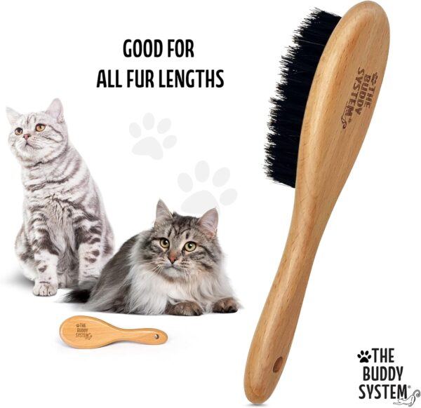 The Buddy System Cat Brush with Boar Bristle and Wooden Handle, Professional Grade Daily Grooming Hairbrush, Reduce Shedding, Soft Hair and Healthy Shine (1 Pack) - Image 3