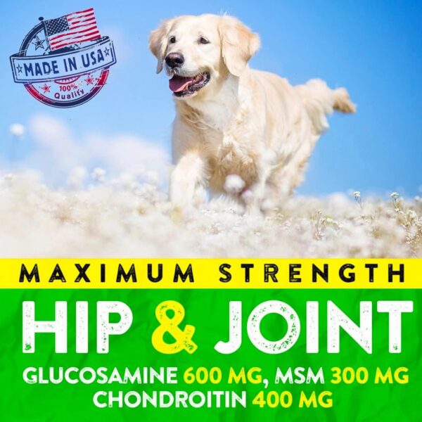 Hemp Hip and Joint Supplement for Dogs - Glucosamine for Dogs - 170 Dog Joint Pain Relief Treats - Chondroitin, Hemp Oil, MSM - Mobility & Flexibility Support - Advanced Joint Health - Made in USA - Image 4