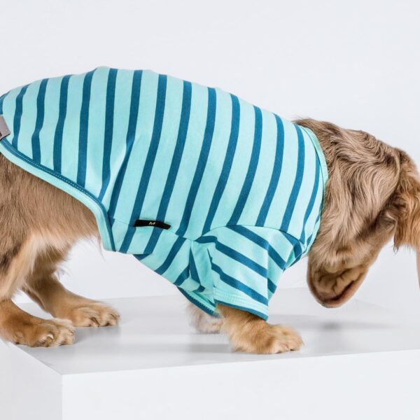 Fitwarm 3 Pack Color Block Striped Dog Shirt, Summer Dog Clothes for Small Dogs, Breathable Lightweight Pet Tshirt with Sleeves, Cat Outfit, Royal Blue, Gray, Teal, Large - Image 3