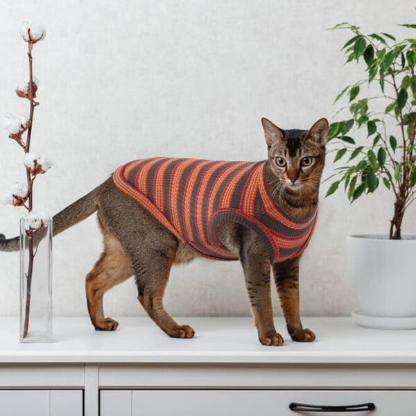 Sphynx Cat Clothes, Breathable Hairless Cat Shirts, Stripe Kitten T-Shirts Sleeveless, Pullover Cat Sweaters, Pet Summer Apparel for Sphynx, Cornish Rex, Devon Rex, Peterbald, Small Dogs - Image 6