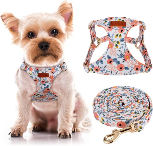 No Pull Floral Pattern Dog Harness- Lightweight, Soft, Adjustable Small Harness and Leash Set, Suitable for Puppy Small and Medium-Sized Dog (XXS, Orange Rose)