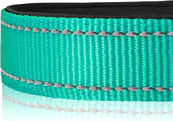 Joytale Reflective Dog Collar,Soft Neoprene Padded Breathable Nylon Pet Collar Adjustable for Large Dogs,Teal,L - Image 4