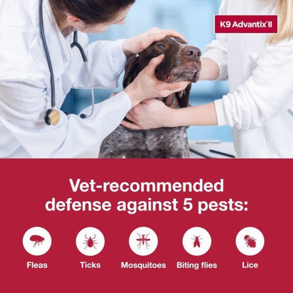 K9 Advantix II XL Dog Vet-Recommended Flea, Tick & Mosquito Treatment & Prevention | Dogs Over 55 lbs. | 2-Mo Supply - Image 5