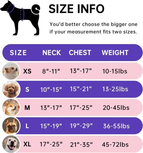 IVY&LANE No Pull Dog Harness for Small Dogs, Dog Vest Harness with Leash, Safety Belt and Storage Strap, Fully Adjustable Harness, 360° Reflective Strip, Soft Handle (Purple, S) - Image 3