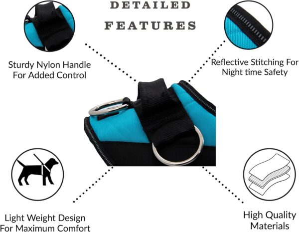 ShawnCo Essential Dog Harness, No-Pull Pet Vest with 3 Leash Clips, No Choke, Reflective, Adjustable and Padded, for Easy Walking and Training for Small, Medium and Large Dogs (Oceanic Blue, S) - Image 5