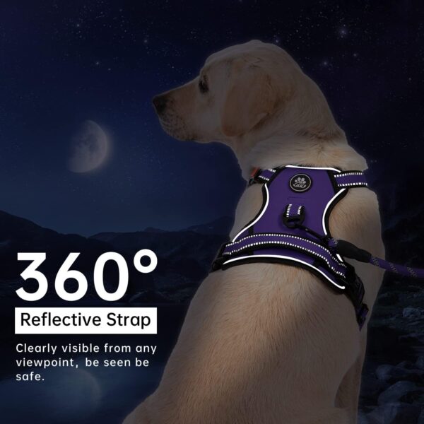 IVY&LANE No Pull Dog Harness for Small Dogs, Dog Vest Harness with Leash, Safety Belt and Storage Strap, Fully Adjustable Harness, 360° Reflective Strip, Soft Handle (Purple, S) - Image 6